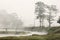 Landscape with river in the morning with fog on Chitwan National Park, Nepal