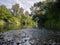 Landscape with river with rapids and flat surface with reflection, banks overgrown with greenery, riparian zone full of grass and