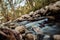 Landscape River and Rocks