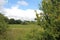 Landscape by River Rother Treeton