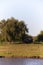 Landscape with river trees and a rusty bus left in the shadows