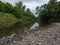 Landscape of river Ukrina with gravel beach and green riparian zone, riverbank overgrown with trees, river ecosystem during