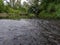 Landscape of river Ukrina with rapids and green riparian zone, riverbank overgrown with trees, river ecosystem during overcast