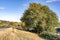 Landscape with a road among autumn hills with yellowed trees and withered grass