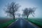 Landscape of a road in a field covered in greenery and fog during the rain in the countryside