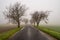 Landscape of a road in a field covered in greenery and fog during the rain in the countryside