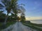 Landscape of a road stretching into a palm forest. Beautiful sunset, sunrise. Calm sea background the blue sky.