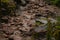 Landscape of a rock filled creek in Huascaran National Park
