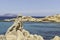 Landscape of rock formations in the sea shore of Cala Girgolu, San Teodoro, Sardinia, Italy