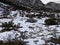 Landscape of rock, snow and green