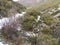 Landscape of rock, snow and green