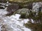 Landscape of rock, snow and green