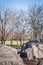 Landscape of the rocks of Central Park overlooking the woods with the branches of the naked trees of the end of the winter