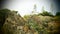 Landscape with rocks near Cadaques Spain