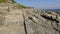 Landscape of rocky beach and nature