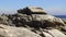 Landscape of rocky beach and ocean view