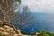 Landscape of rocky coast before a storm under gloomy dramatic sky