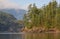 Landscape of rocky island with pine trees in Harrison Lake  BC  Canada. Travel photo  selective focus