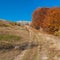 Landscape with rocky road leading to Babuhan Yaila natural reserve in Crimean peninsula