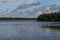 Landscape with Roseate Spoonbills, J.N. Ding Darling Nationa