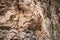 Landscape of rough rocky Eaton Canyon hiking cliffs trails with wild plants under a gray sky