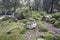 Landscape with round mossy limestone rocks