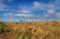 Landscape with a row of Wind turbines (or windmills) n