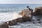 Landscape with ruined coastal fortifications, Egypt