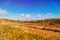 Landscape of rural Crete island in Greece