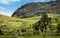 Landscape of a rural environment where there are mountains, fields, trees and animals