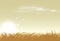 Landscape rural sunset, rice and grass farm vector illustration