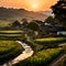 A landscape of rustic rural village in sunset background