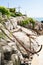 Landscape with a rusty anchor, chains, rocks, green bushes in the city of Sozopol, Bulgaria