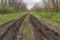 Landscape with ruts on dirty road