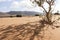 Landscape in Sahara desert, Marocco