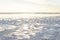 Landscape of the salt lake. salt water beach with accumulations of salt that come out of the water, at bottom the Andes with their