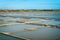 Landscape of salt marshes in Guerande peninsula France