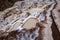 Landscape of the salt terraces of Maras  Salineras de Maras in the Andes mountain range in the region of Cusco, Peru, Sacred