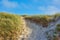 Landscape of sand dunes on the west coast of Jutland in Loekken, Denmark. Closeup of tufts of green grass growing on an