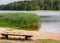 Landscape with sandy beach, green grass and wooden benches, summer