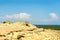 Landscape of a sandy beach with rocks, grass, sea, blue sky