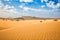 landscape of sandy desert with sparse vegetation and mountains on the horizon