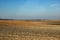 Landscape sandy field and forest in the background