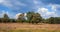 Landscape on sandy ground in Drenthe, the Netherlands.