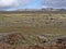 Landscape in Sanetti Plateau, Bale National Park, Ethiopia