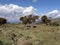 Landscape in Sanetti Plateau, Bale National Park, Ethiopia