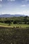 Landscape in Sannio, Molise, near Torella