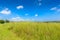 landscape of Savanna Forest and mountain with a blue sky and white clouds in the spring afternoon