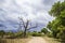 Landscape, savannah and cloudy sky, South Africa