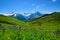 Landscape Scene from First to Grindelwald, Bernese Oberland, Switzerland